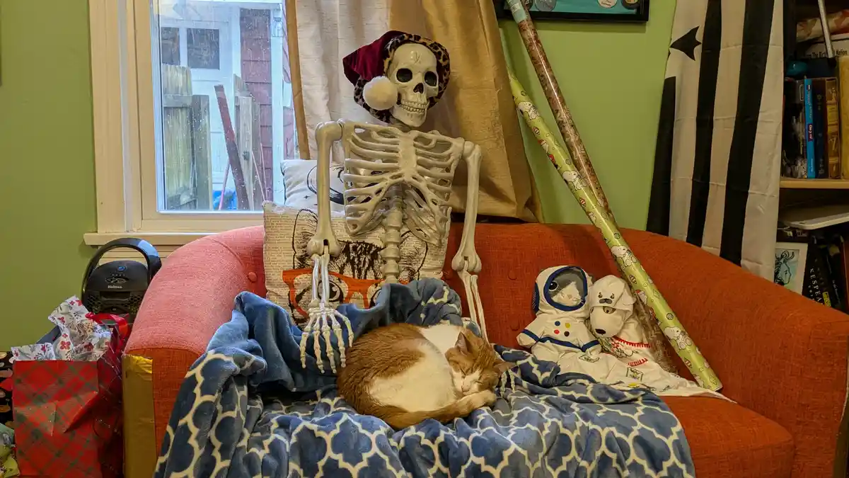 A plastic skeleton wearing a red and leopard-print Santa hat sits upright on an orange couch, covered by a blue patterned…