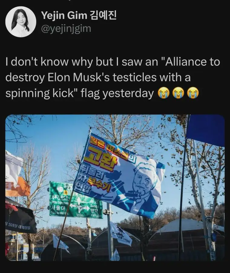 A social media post by Yejin Gim shows a photo of a blue and white protest flag with a caricature of Elon Musk and Korean…