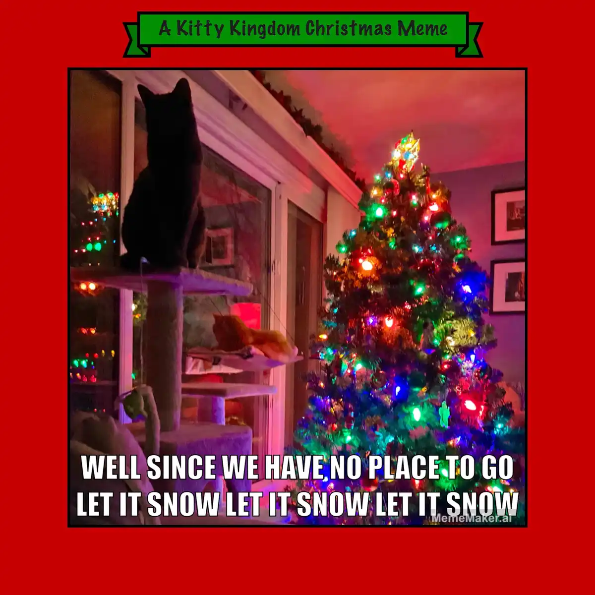 Countdown to Christmas in the Kitty Kingdom: Meme #2