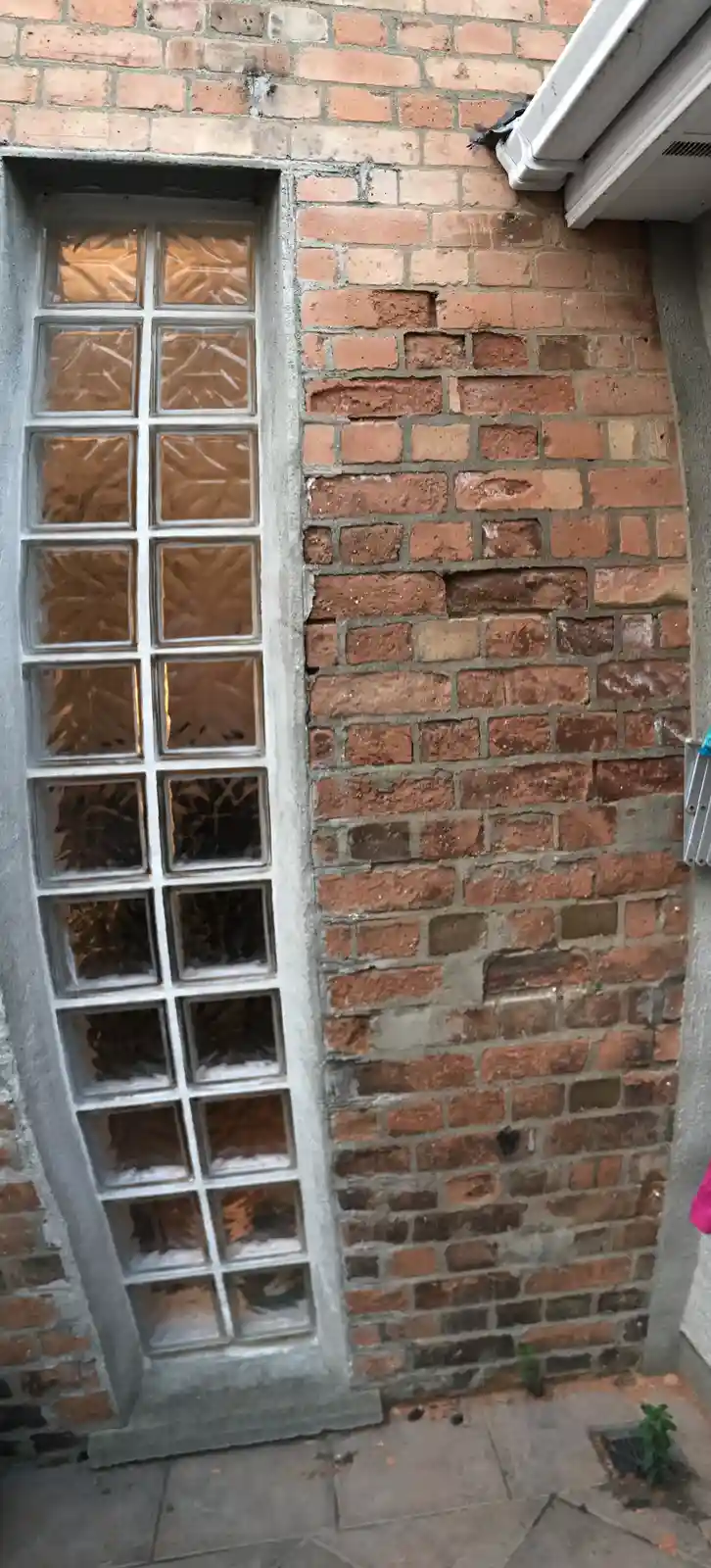 A close-up photo of a brick wall next to a glass block window, with the overlaid text 'i'm not lazy, i'm just conserving…