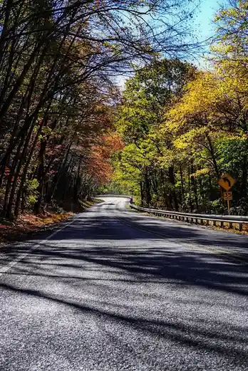 A scenic autumn road winds through a forest with trees displaying vibrant yellow, orange, and green foliage under a clear…