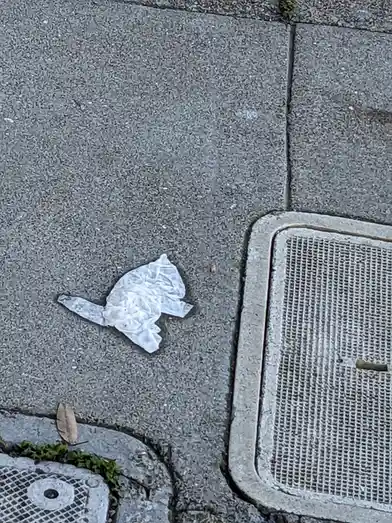 A crumpled white plastic bag lies on a gray concrete sidewalk next to a metal utility access grate. The image is overlaid…