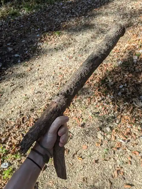 A person's hand grips a thick, rough, dirt-covered stick outdoors on a gravel path scattered with fallen leaves. The stick…