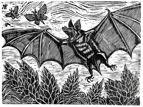A black-and-white woodcut-style illustration depicts a large, menacing bat with spread wings, sharp teeth, and claws, flying…