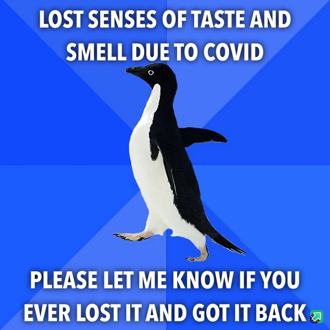 A penguin stands against a blue background with white text overlaid. The top text reads 'LOST SENSES OF TASTE AND SMELL DUE…