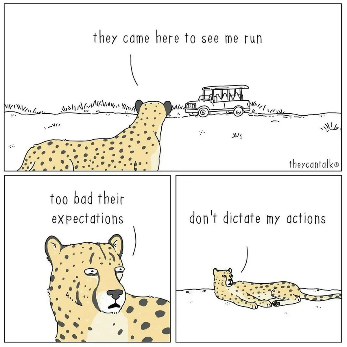 A three-panel comic strip shows a cheetah initially standing and looking at a safari vehicle with the text 'they came here…