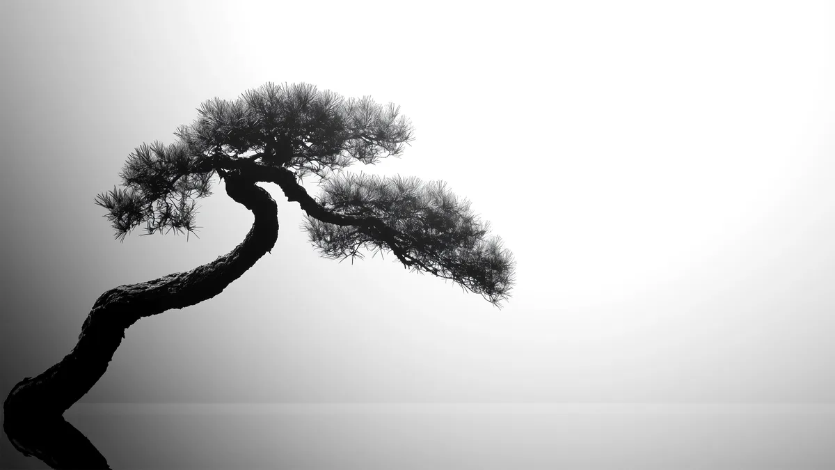 A black-and-white silhouette of a gnarled, gracefully curved pine tree against a gradient gray background. The tree's…
