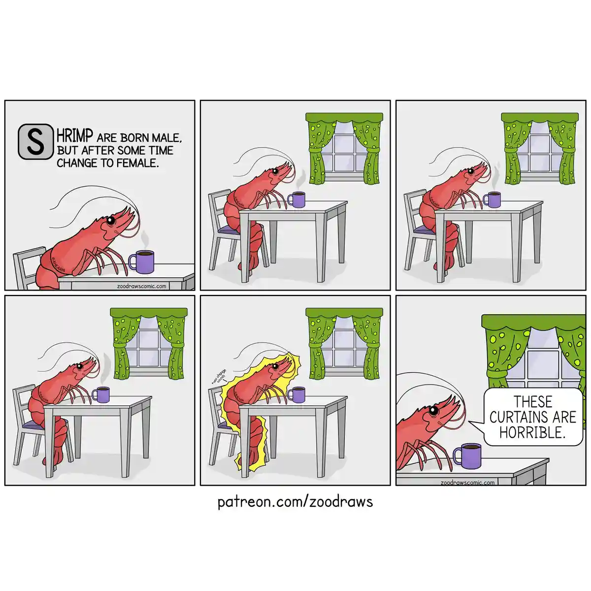A six-panel comic strip shows a red shrimp sitting at a table with a mug, initially stating shrimp are born male but change…
