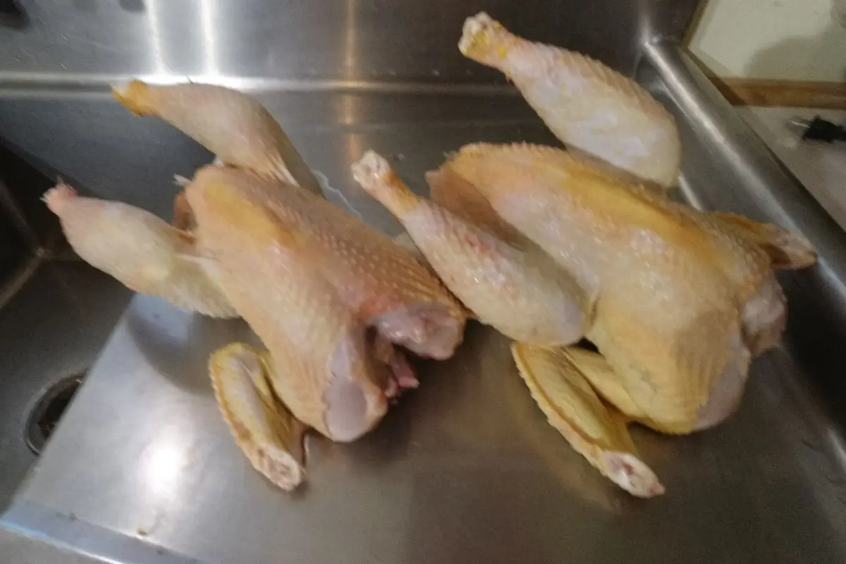 Two raw, plucked chickens lie in a stainless steel kitchen sink, their skin pale and uncooked. The image is overlaid with…