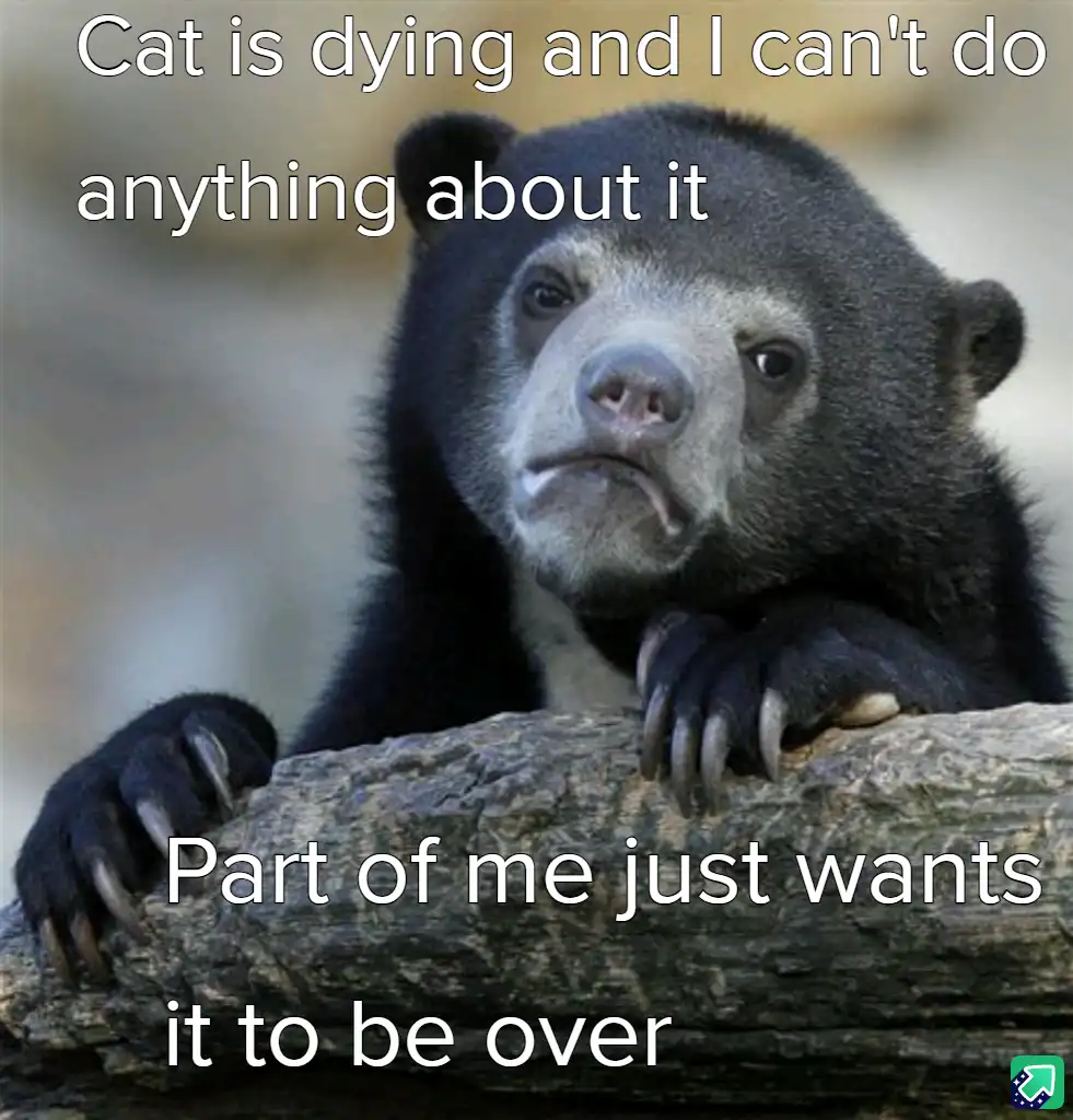 A close-up photo of a sad-looking spectacled bear resting its paws on a log, with white text overlaid in two parts: 'Cat is…