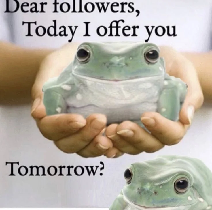 Frog-Themed Wednesday: A Whimsical Collection of Amphibian Fun