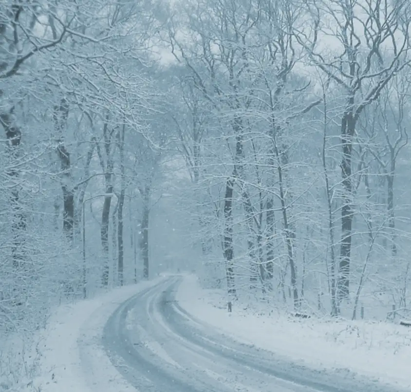 A snowy, winding road through a forest with bare trees covered in snow, overlaid with the text 'i'm not lazy, i'm in…