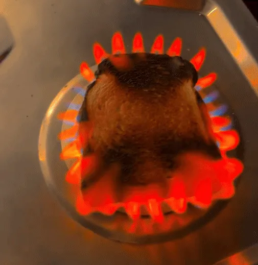 A six-panel image sequence shows a slice of toast progressively burning on a gas stove burner, starting with slight charring…