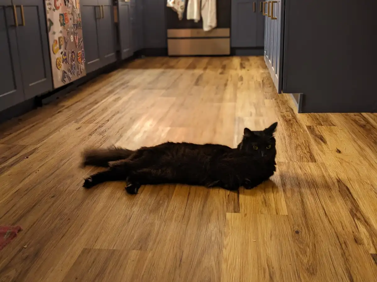 A black cat is lying stretched out on a wooden floor in a kitchen with dark cabinets and a refrigerator covered in colorful…