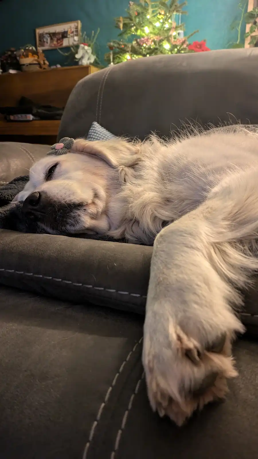 The most adorable little sleepy baby
