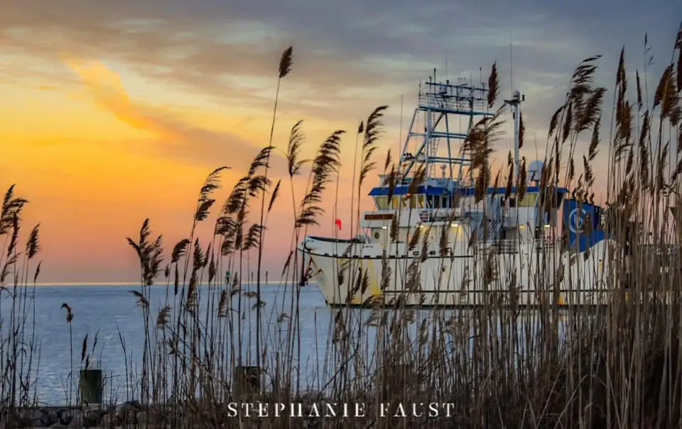 A serene sunset photograph shows a large white and blue fishing boat docked on calm water, framed by tall, dry reeds in the…