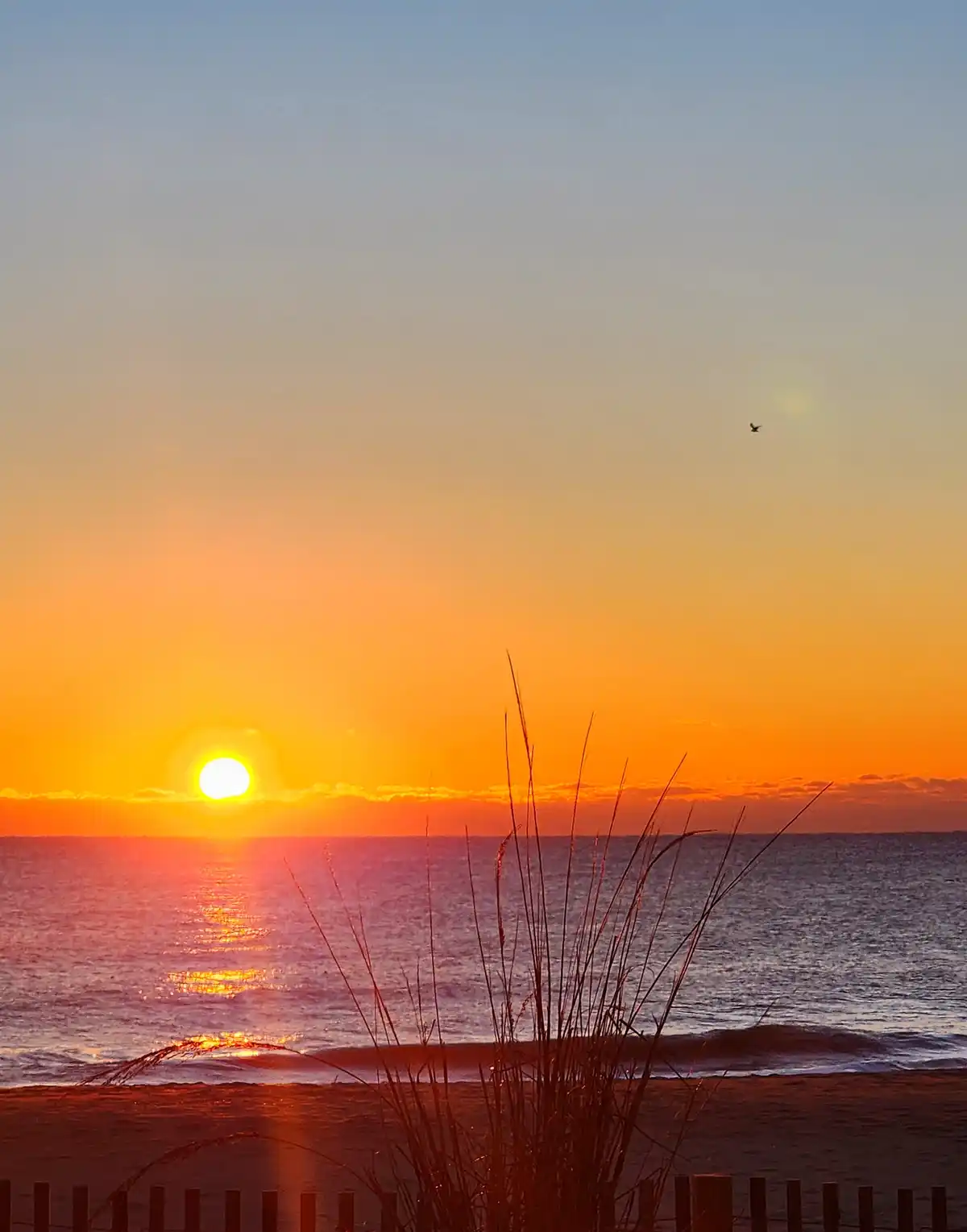 A serene beach sunset with the sun low on the horizon, casting orange and yellow light across the water and sky. Silhouetted…