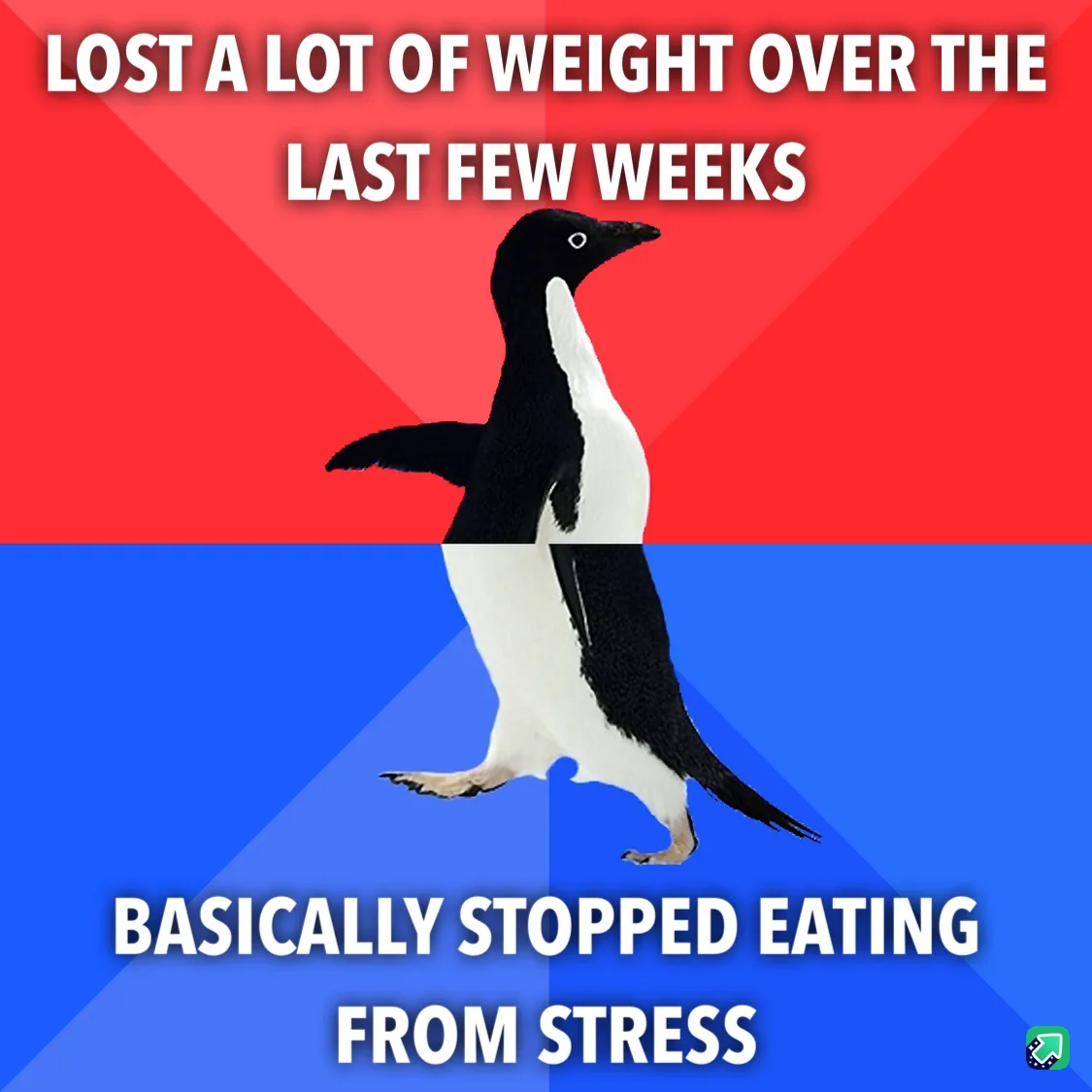 A penguin image split horizontally with a red top half and blue bottom half. White bold text on the red half reads 'LOST A…