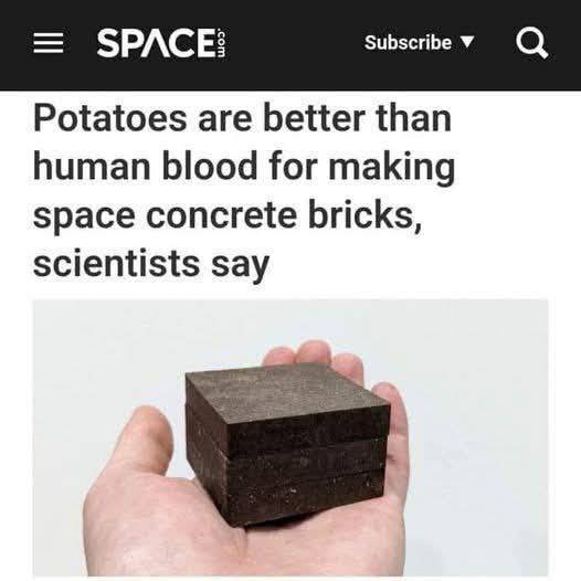 Our Experiment: Just Potatoes and Nothing Else—Are They Really the Best?