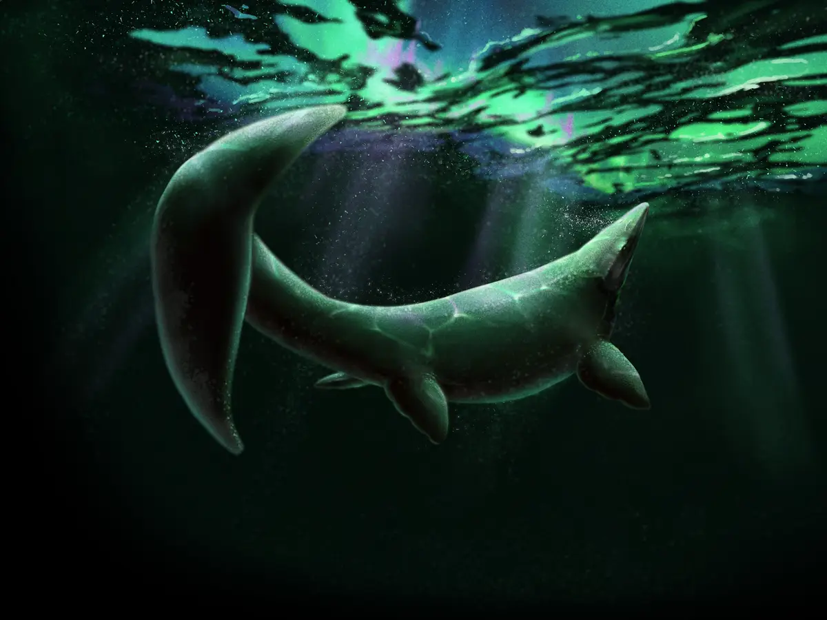 An underwater illustration shows a long, serpentine creature with a dolphin-like head and a crescent-shaped tail, swimming…