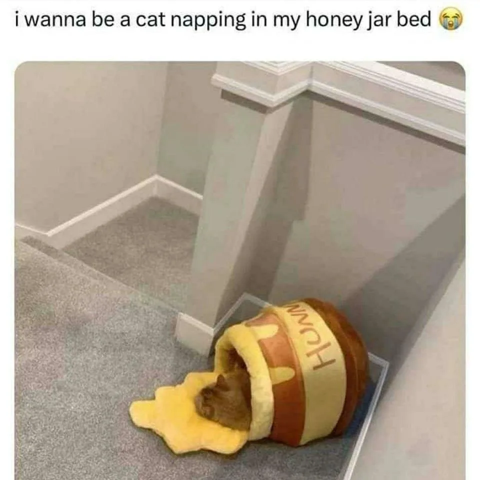 A small brown cat is curled up sleeping inside a plush, upside-down honey jar-shaped pet bed that is lying on its side on a…