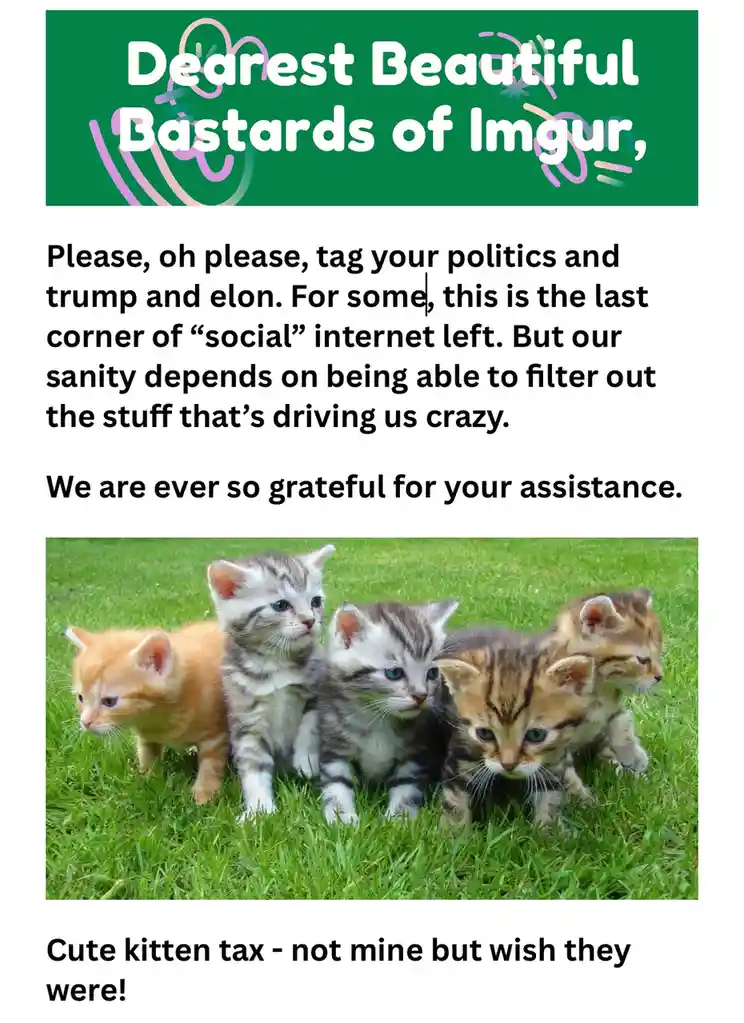 The image features a group of five adorable kittens standing in a line on green grass. Overlaid text reads: 'Dearest…