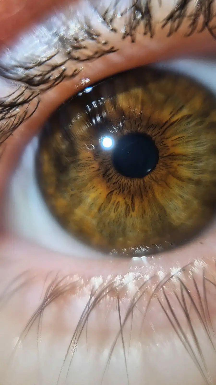 A macro photograph shows a human eye with detailed brown iris patterns, long dark eyelashes, and visible skin texture around…