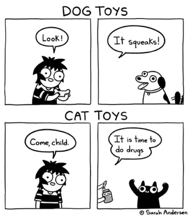 A four-panel comic strip by Sarah Andersen shows a child excitedly showing a dog a squeaky toy, then a cat calmly inviting…