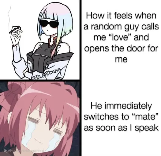 The meme features two panels with anime characters. The top panel shows a calm, cool anime girl with short pastel hair and…