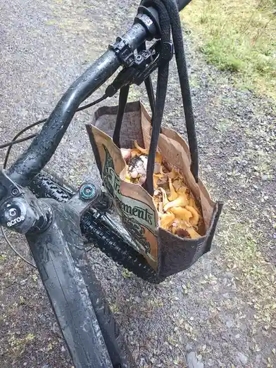 A close-up shot shows a muddy mountain bike with a burlap sack hanging from the handlebars, filled with freshly picked…
