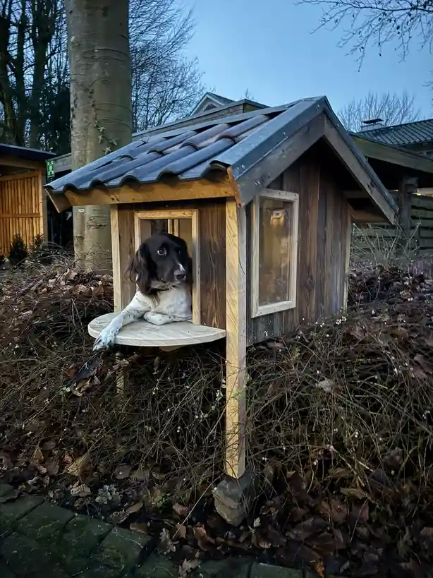 A black-and-white dog with floppy ears is lounging on a small wooden platform inside a raised, rustic wooden doghouse with a…
