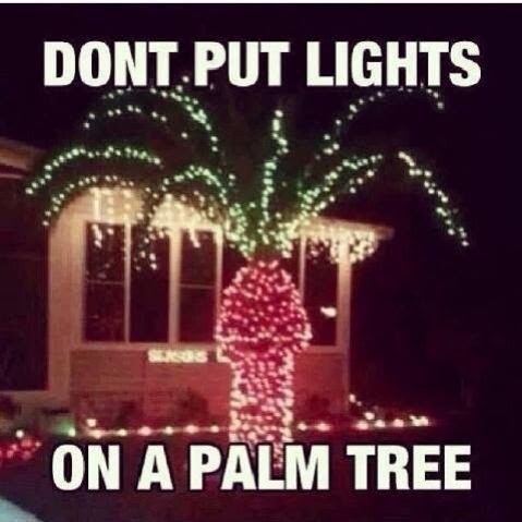 A nighttime photo of a palm tree decorated with bright red and green string lights, resembling a Christmas tree, in front of…