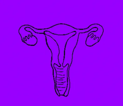 six panels show a black line drawing of female reproductive anatomy on a purple background, depicting the fallopian tubes…