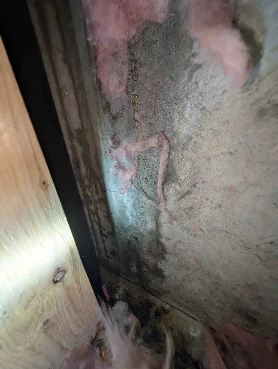 A close-up photo shows pink fiberglass insulation clinging to a concrete wall and wooden beam, with some strands forming a…
