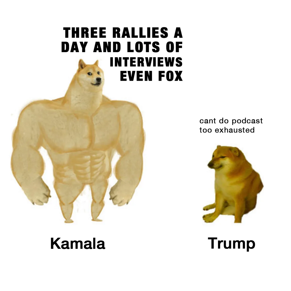 The image features two Shiba Inu dogs: one is a muscular, anthropomorphic version labeled 'Kamala' with text above it…