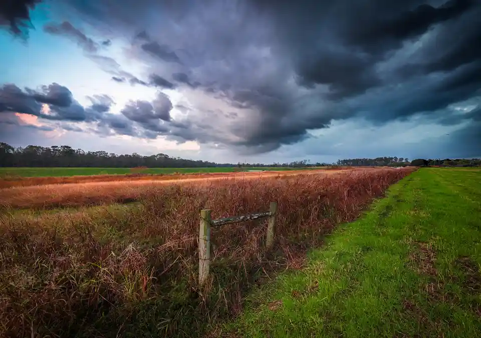 Serene Moments in a Texas Field Under the Stars