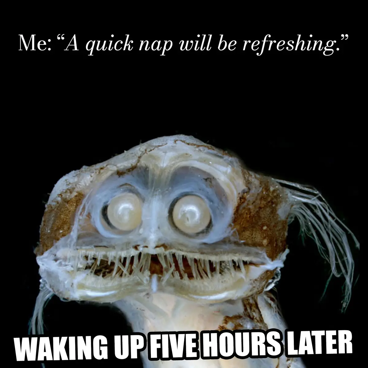 Same old story, every single time...