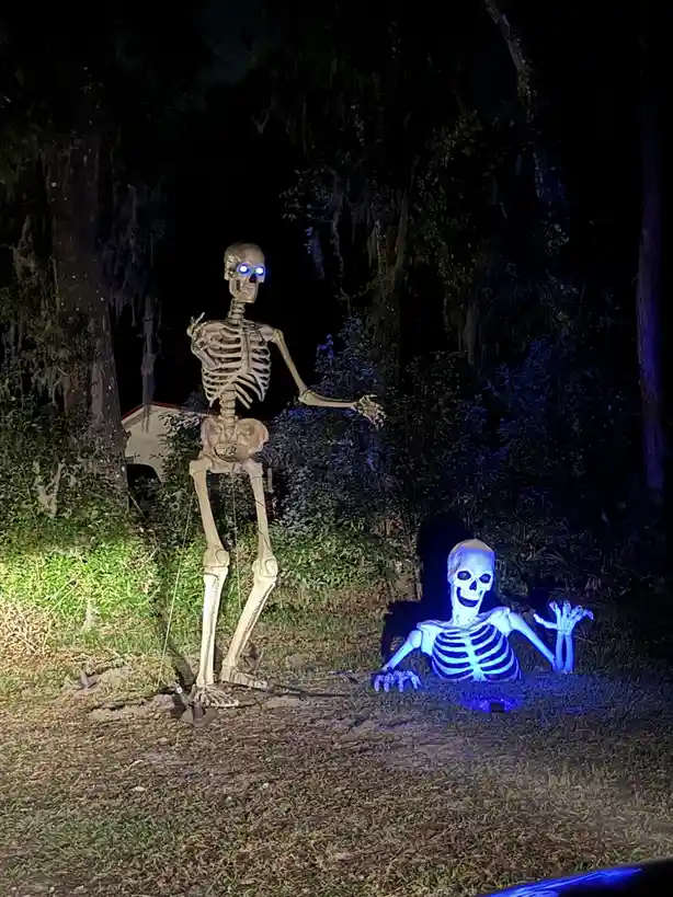 Skeletons to celebrate my Cake Day!