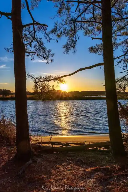 A serene sunset photograph framed by two pine trees, showing the sun setting over a calm body of water with its reflection…