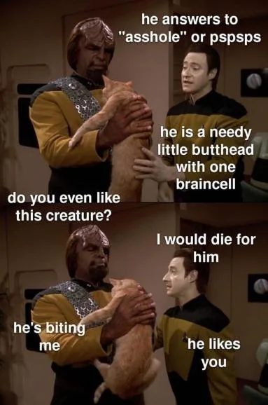 Two Star Trek characters, one holding a cat, with overlaid text describing the cat's behavior and the owner's affectionate…