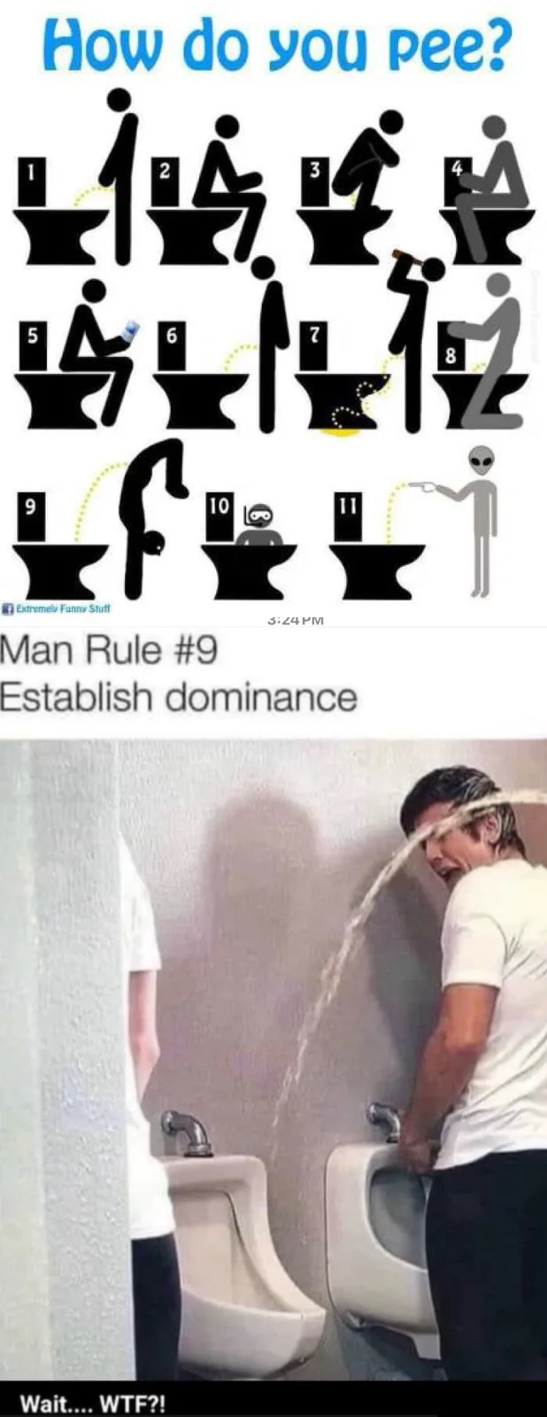 The image displays a top section with 11 numbered stick-figure illustrations showing various ways to urinate, including…