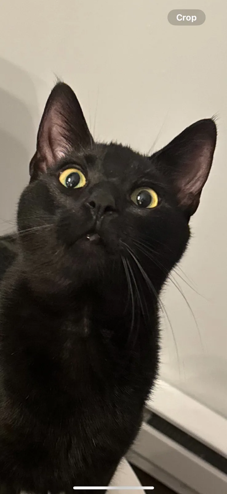 For everyone who's received that look when it's 'late food time'