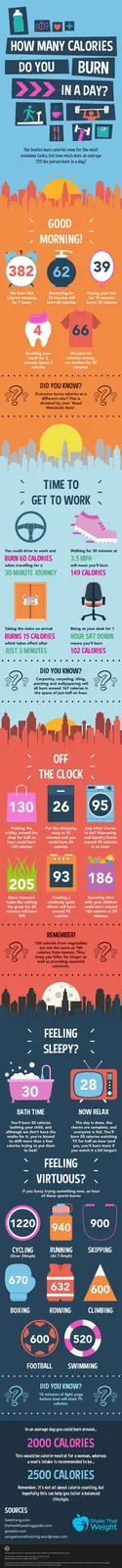 An infographic titled 'How Many Calories Do You Burn In A Day?' visually breaks down calorie expenditure for common daily…