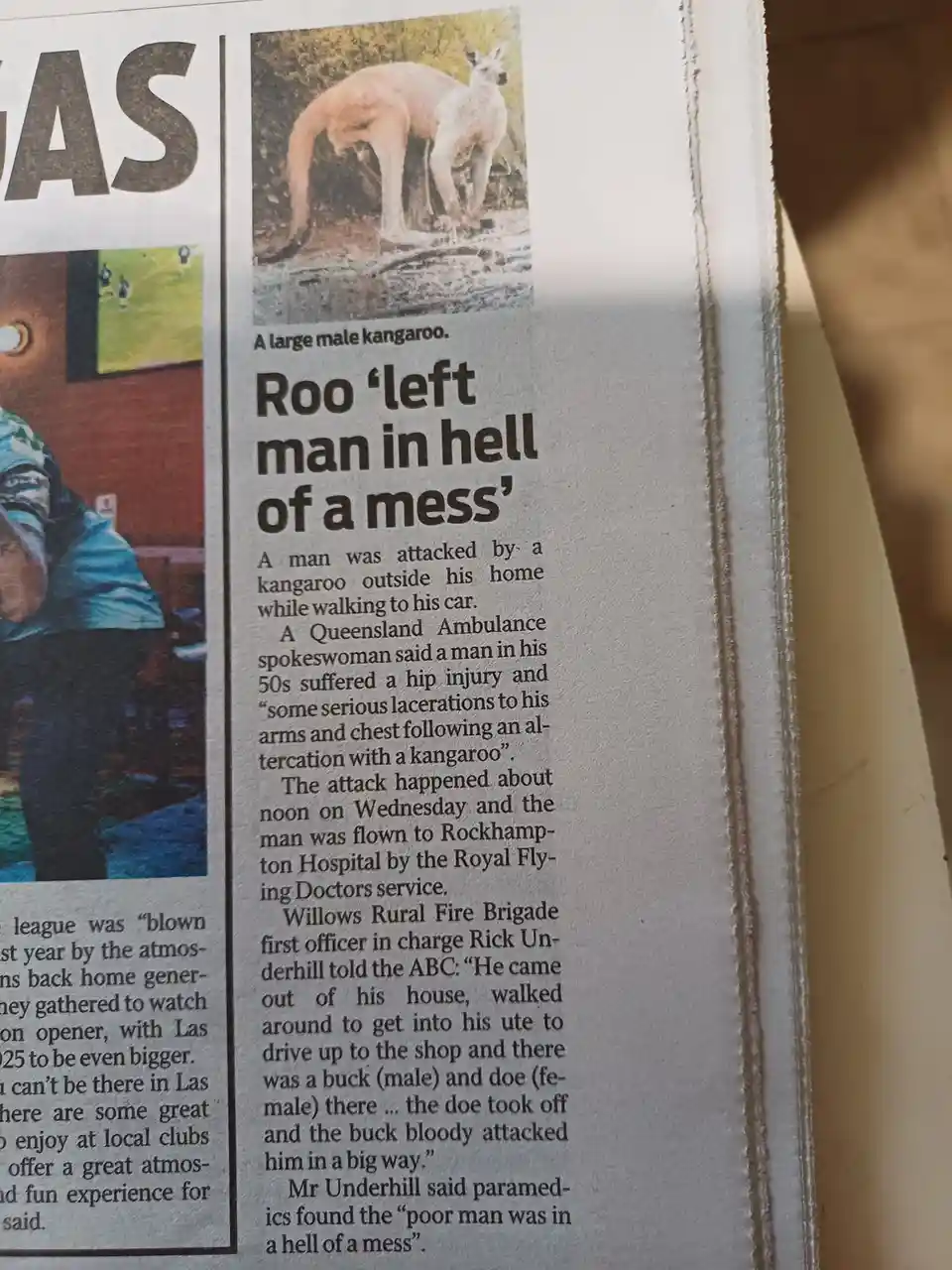 A newspaper clipping shows a photo of a large male kangaroo with the headline 'Roo 'left man in hell of a mess''. The…