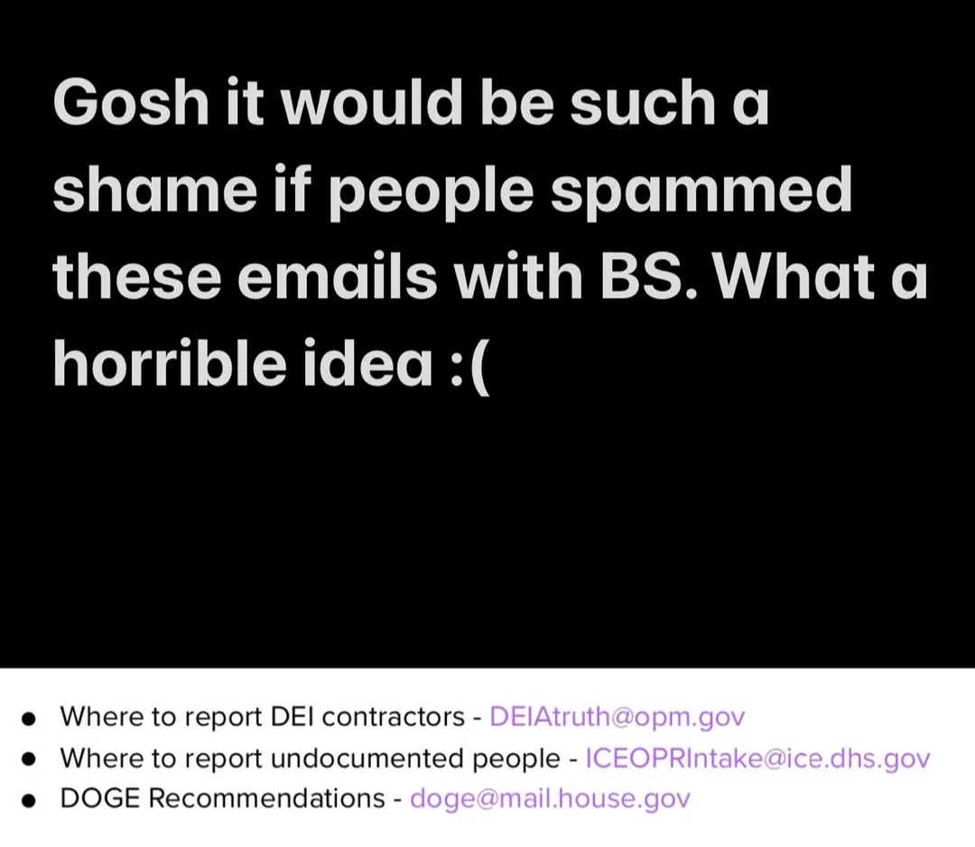 A black background with white text reads 'Gosh it would be such a shame if people spammed these emails with BS. What a…