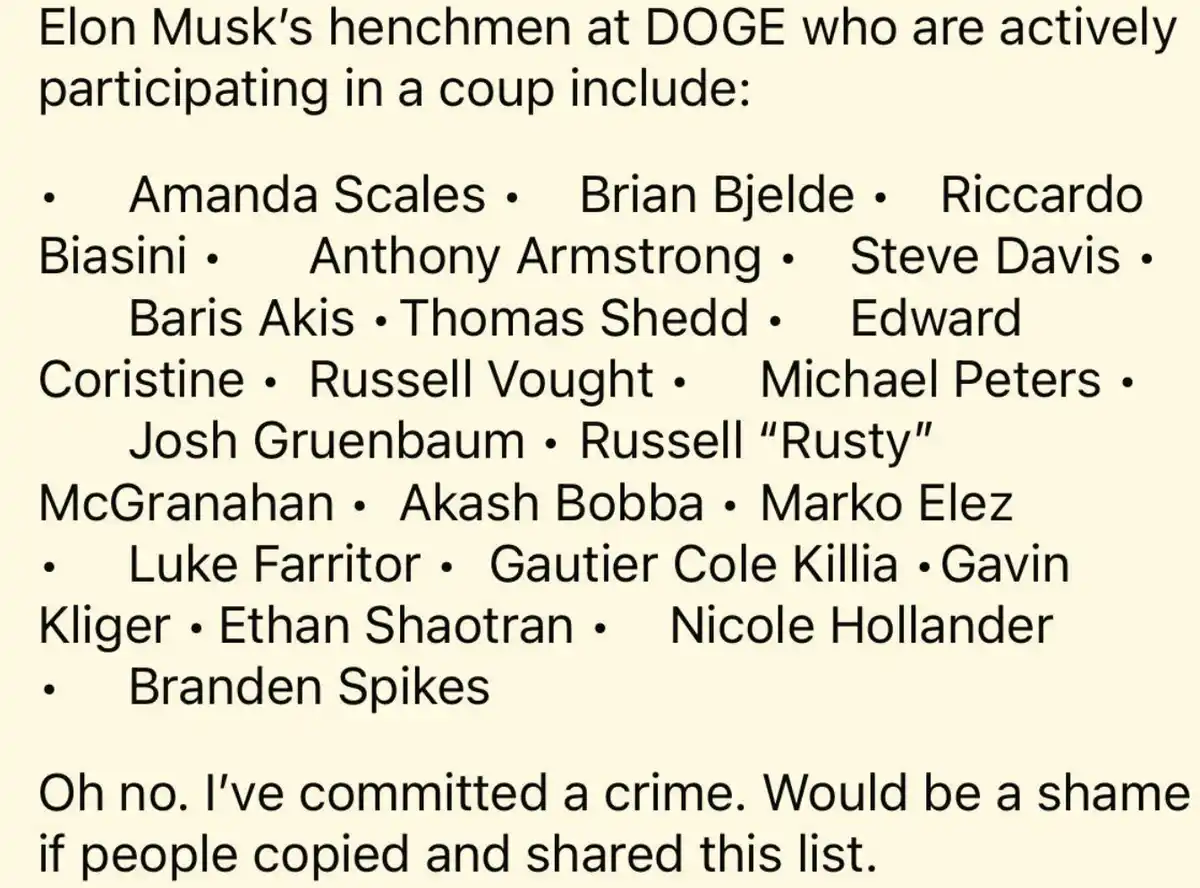The image displays a beige background with black text listing names under the heading 'Elon Musk's henchmen at DOGE who are…