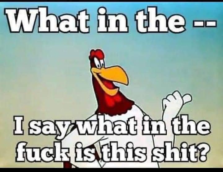 A cartoon rooster with a surprised expression and raised hand is overlaid with bold white text reading 'What in the --' at…