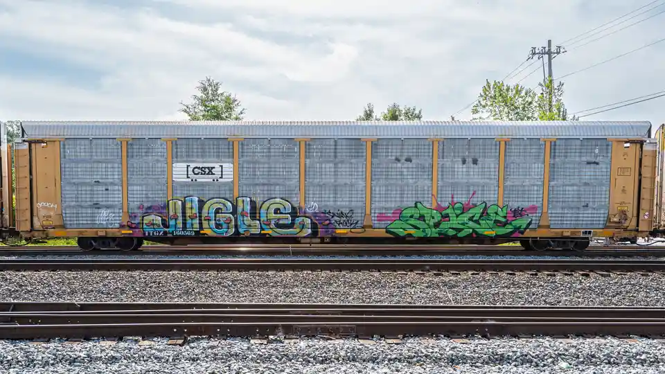 A side view of a CSX freight train car covered in graffiti, with the word 'google' prominently displayed in large, colorful…