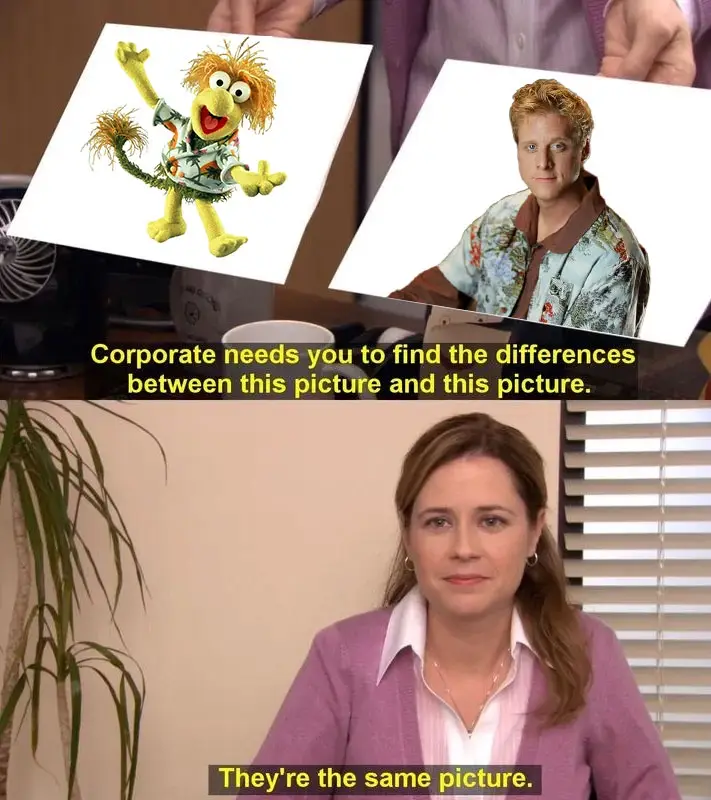 The image is a two-panel meme. The top panel shows two photos held up side-by-side: one of the Muppet character Animal and…