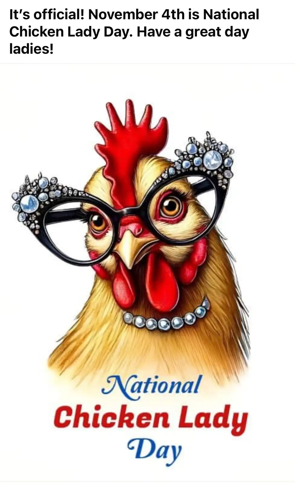 An illustrated chicken wearing large, jeweled glasses and a pearl necklace is depicted as a 'lady' for 'National Chicken…